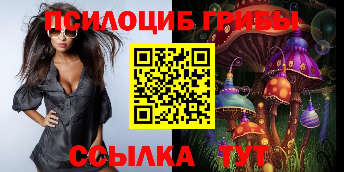 Псилоцибиновые грибы прущие грибы Отрадный