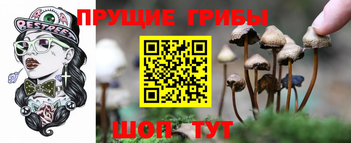 Отрадный  Псилоцибиновые грибы прущие грибы  Псилоцибиновые грибы Psilocybe  Вход с VPN 